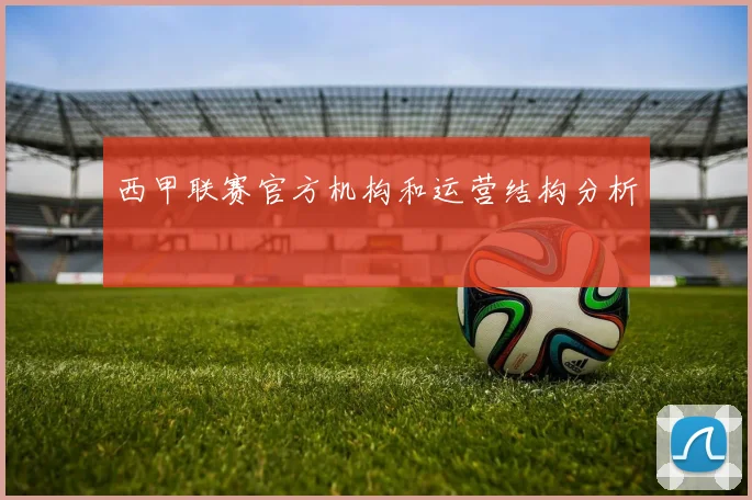 西甲联赛官方机构和运营结构分析
