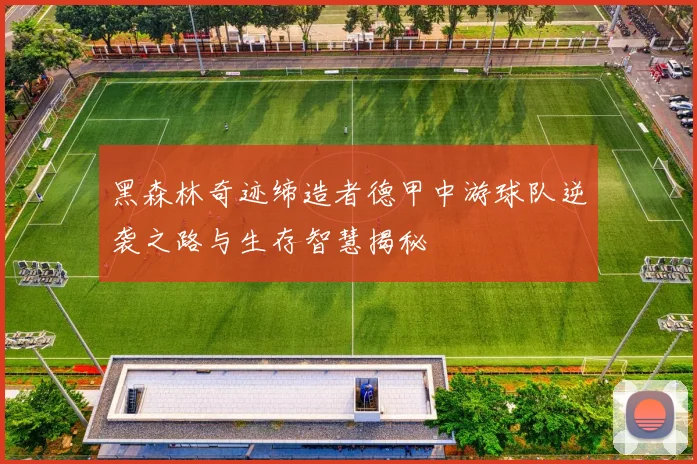 黑森林奇迹缔造者德甲中游球队逆袭之路与生存智慧揭秘