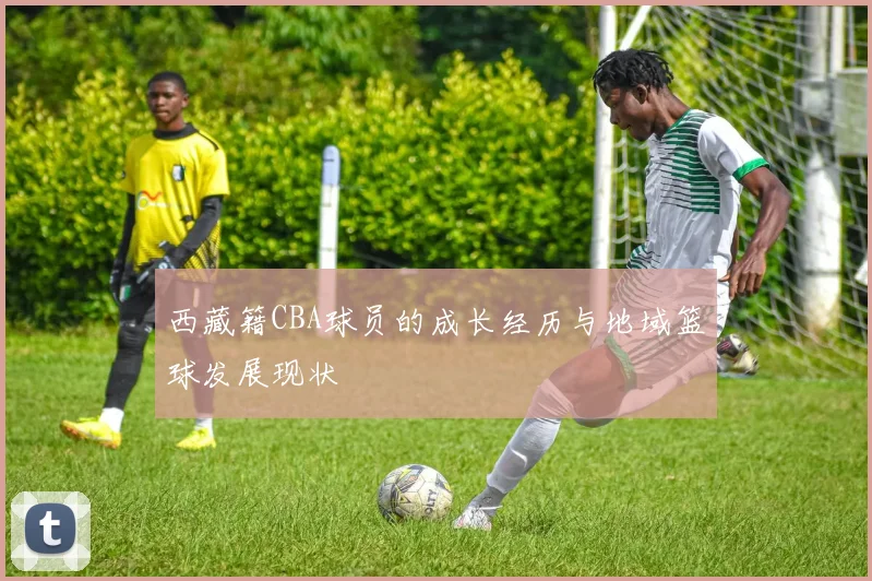 西藏籍CBA球员的成长经历与地域篮球发展现状