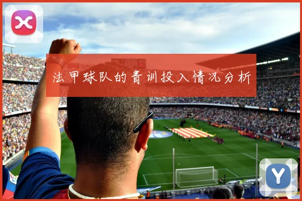 法甲球队的青训投入情况分析